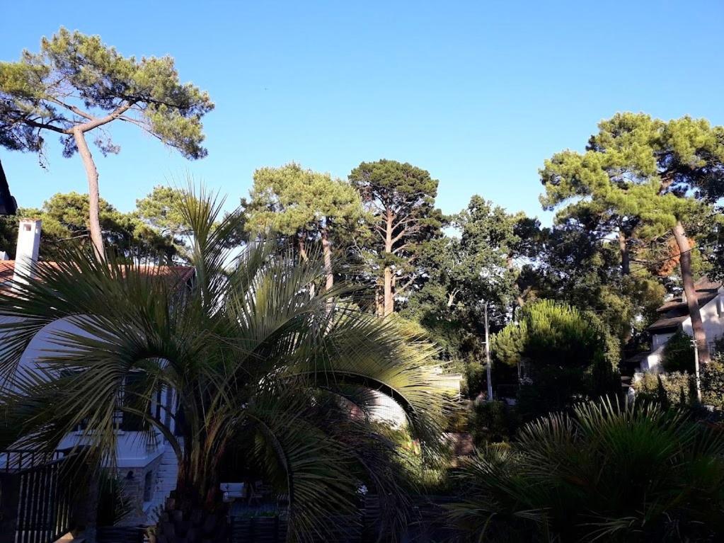Belle De Dune La Baule Eksteriør bilde